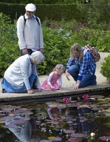 lilly pond, little girl in pink dress, mother and grandparents-805207.jpg